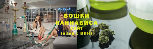 ПСИЛОЦИБИНОВЫЕ ГРИБЫ Осинники