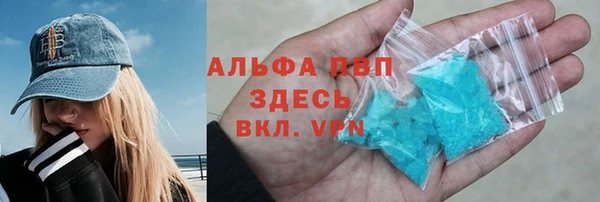 ПСИЛОЦИБИНОВЫЕ ГРИБЫ Осинники