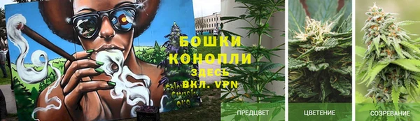 гашик Тосно
