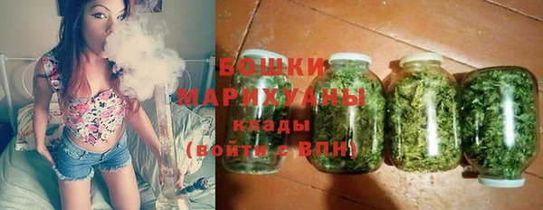 ПСИЛОЦИБИНОВЫЕ ГРИБЫ Осинники
