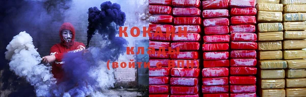 ПСИЛОЦИБИНОВЫЕ ГРИБЫ Осинники