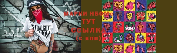 ПСИЛОЦИБИНОВЫЕ ГРИБЫ Осинники