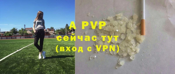 ПСИЛОЦИБИНОВЫЕ ГРИБЫ Осинники